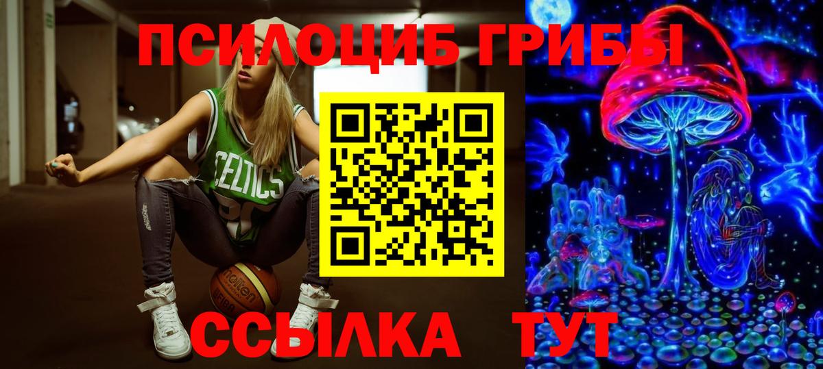 Псилоцибиновые грибы GOLDEN TEACHER Краснодар