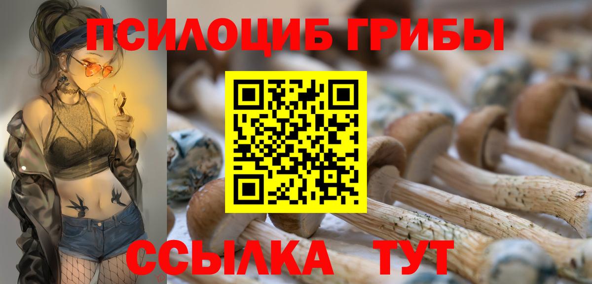 Галлюциногенные грибы прущие грибы  Галлюциногенные грибы прущие грибы  Вход с VPN  Краснодар 